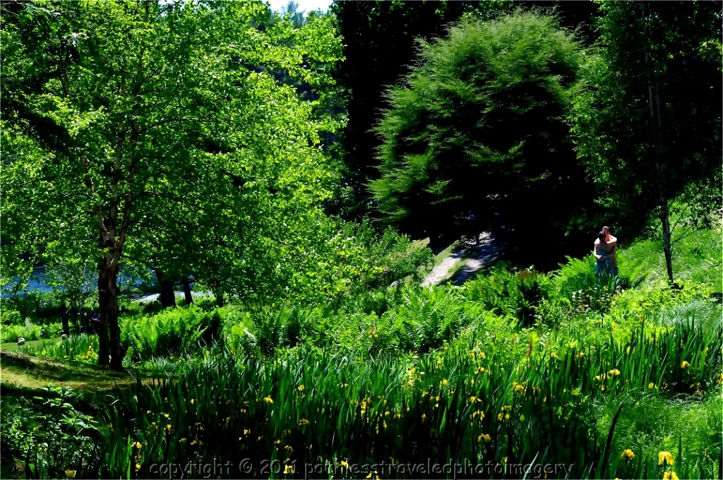 1006_0242.jpg - June -- Innisfree Gardens