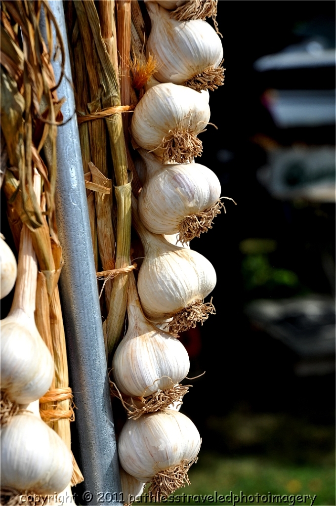 1009_0060A.jpg - September -- Saugerties Garlic Festival