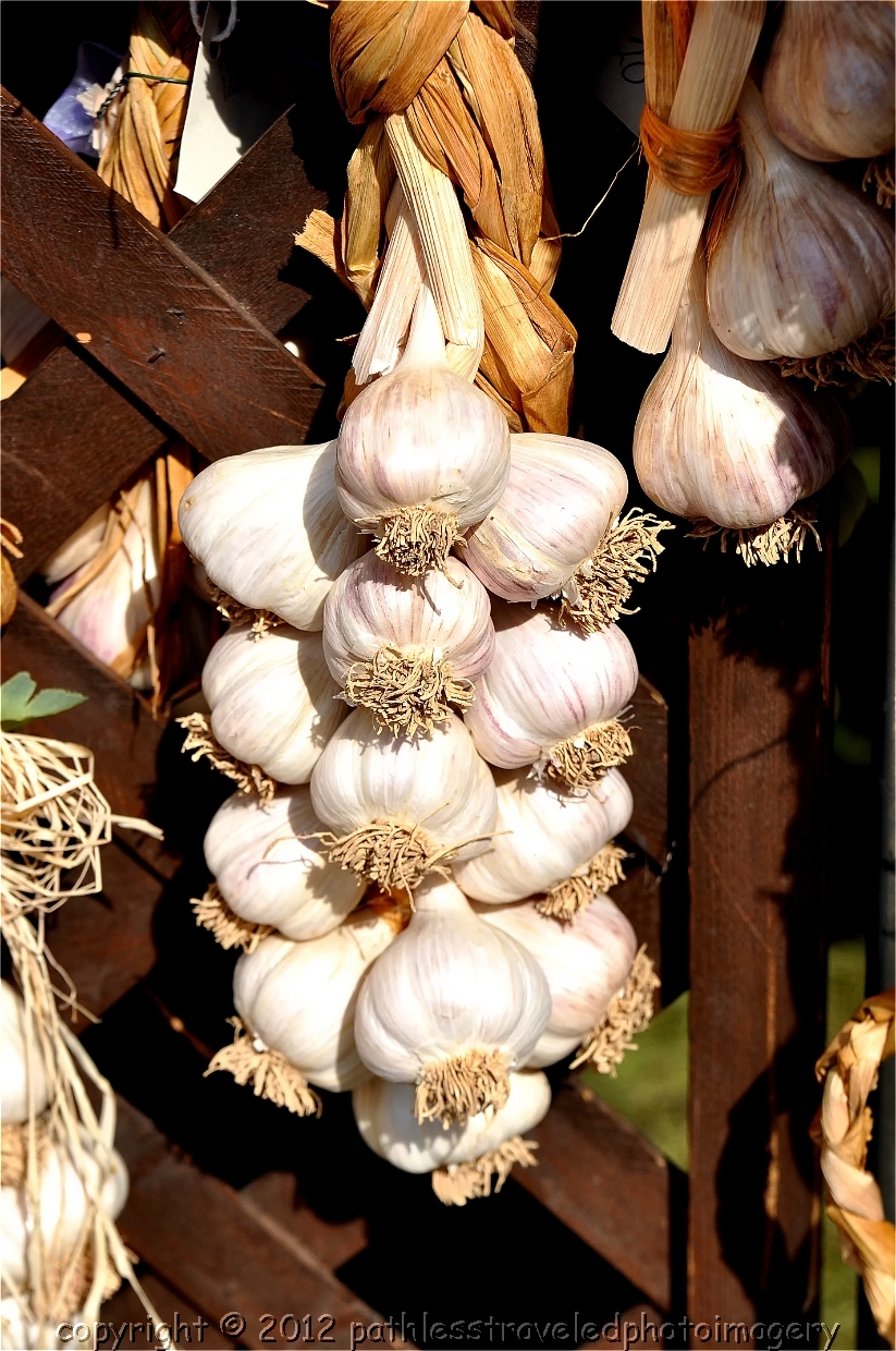 1109_5003.JPG - October -- Garlic Festival