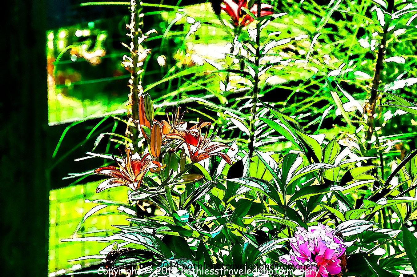 1407_0020cartoona.jpg - July -- Roseview Gardens