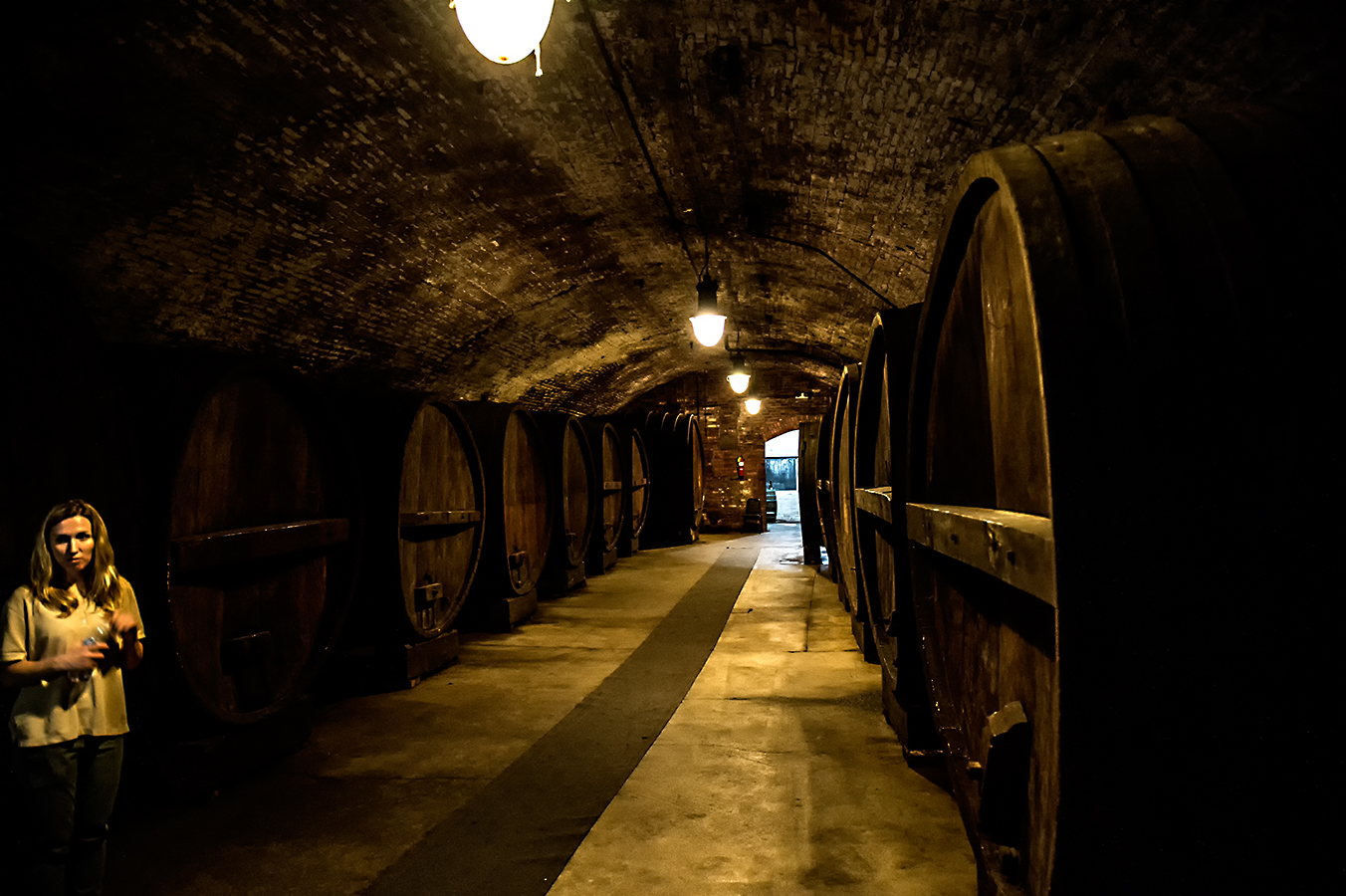 1506_1607a.jpg - July -- Brotherhood Winery (America's Oldest)