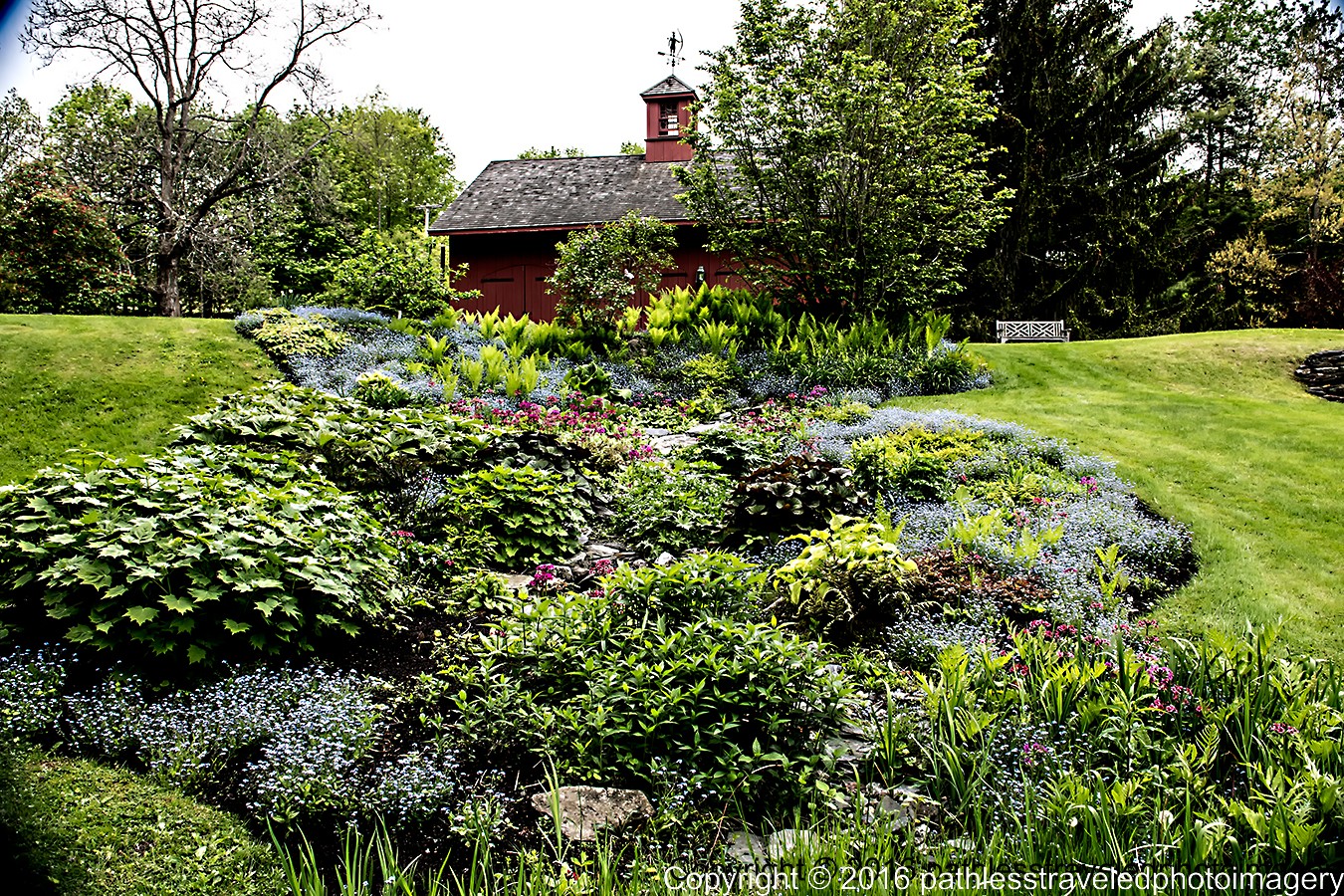 1605_2323a.jpg - May -- Mead Farmhouse Gardens