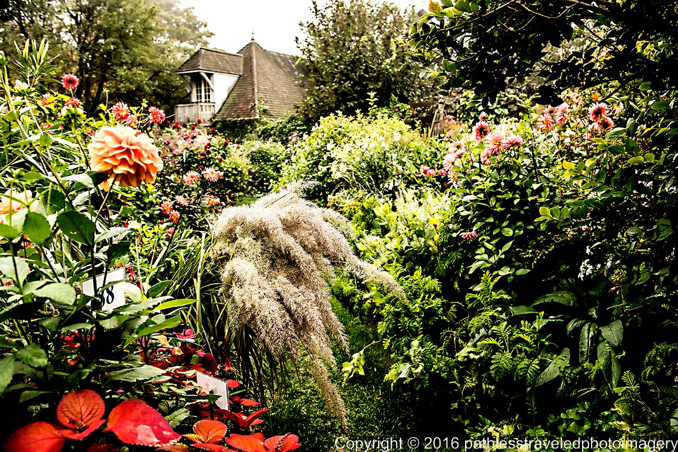 1610_0319a.jpg - Oct -- Stonecrop Gardens