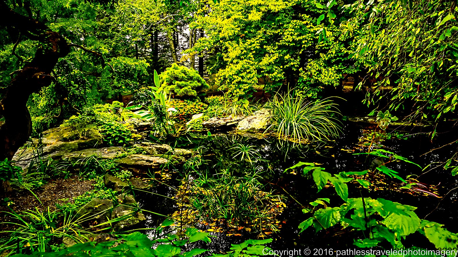 1610_0464a.jpg - Oct -- Stonecrop Gardens