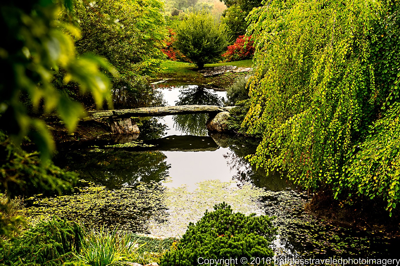 1610_0471a.jpg - Oct -- Stonecrop Gardens