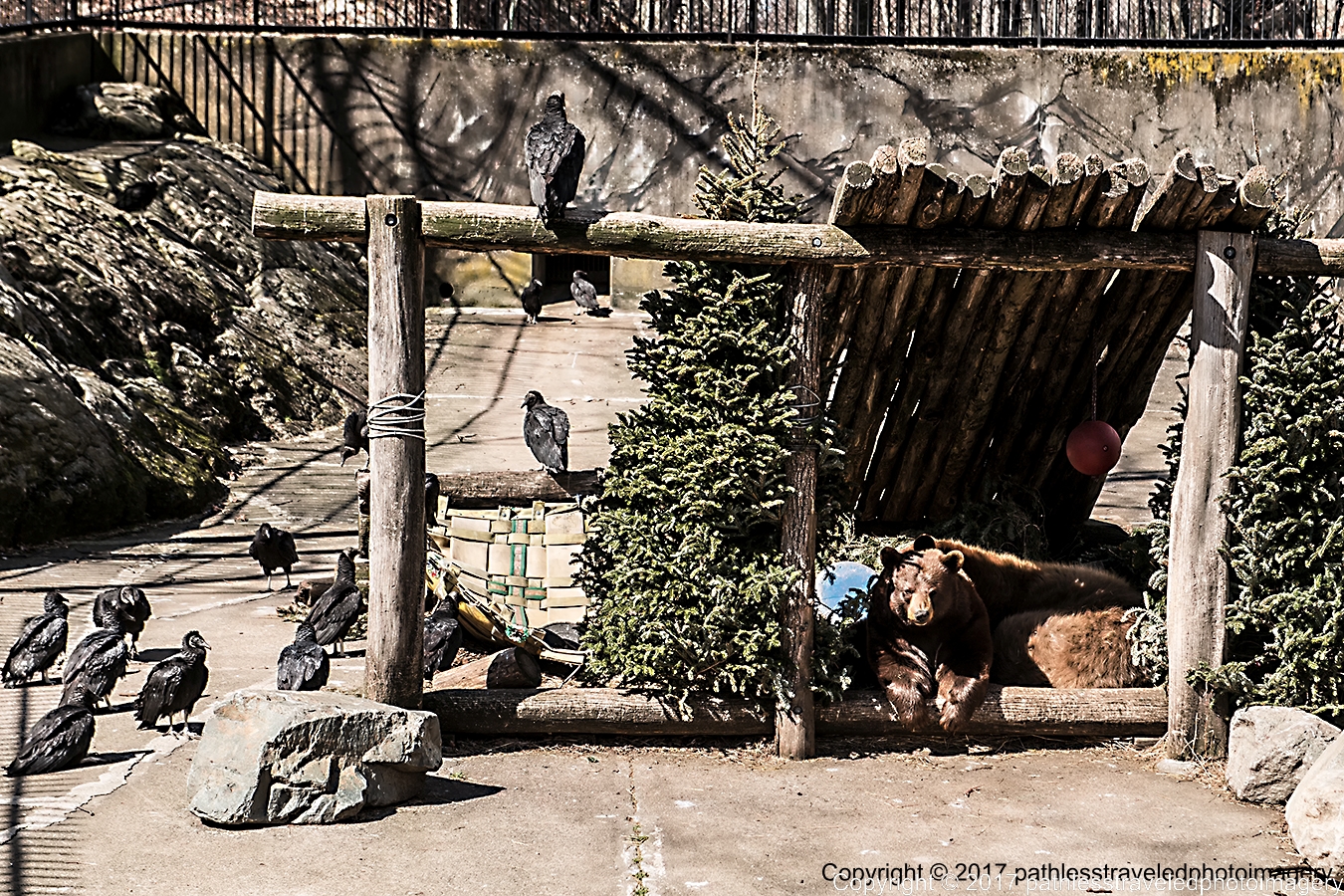 1703_0216a.jpg - Mar - Bear Mountain Zoo