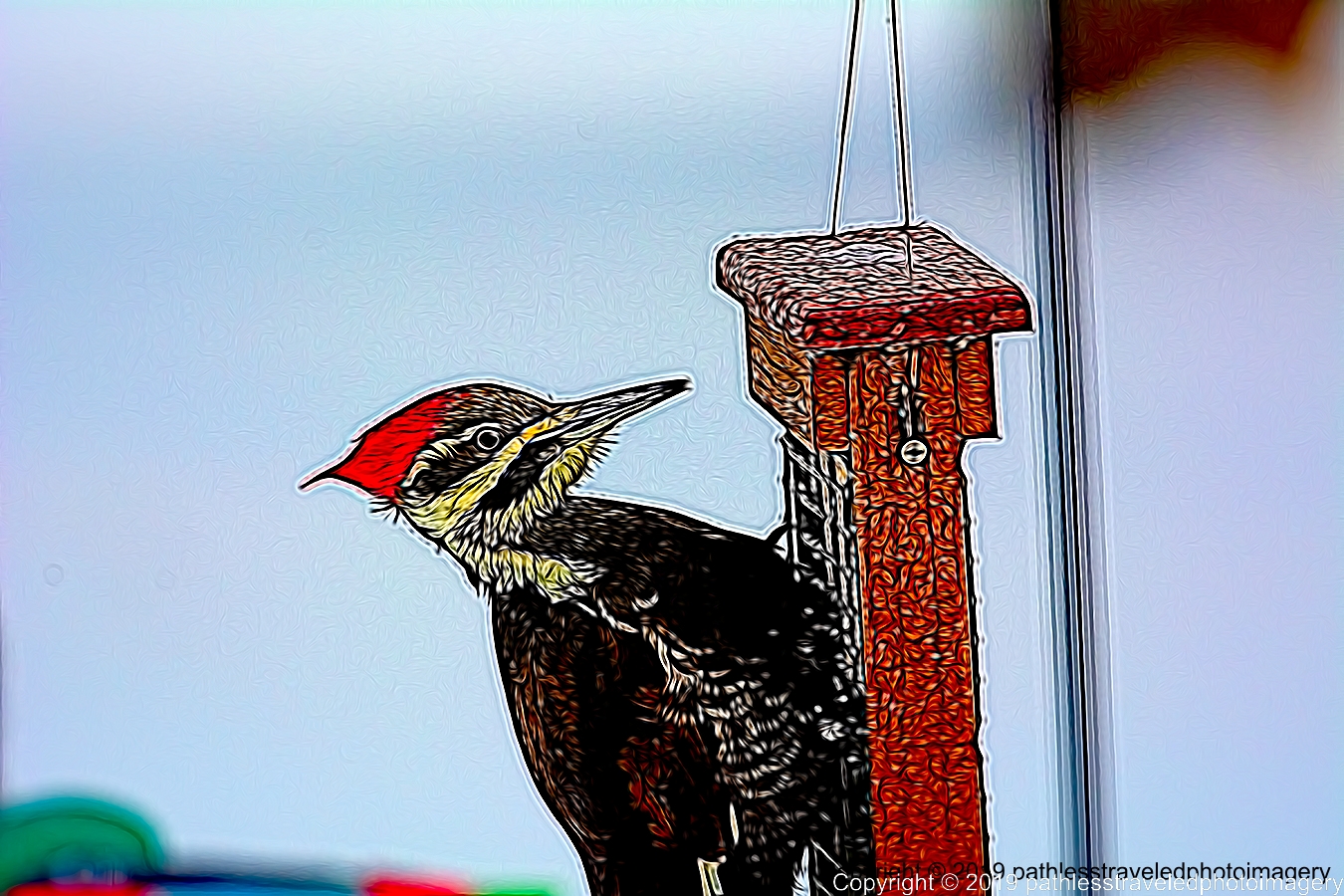 1902_0021TopazAirBrusha.jpg - Pileated Woodpecker