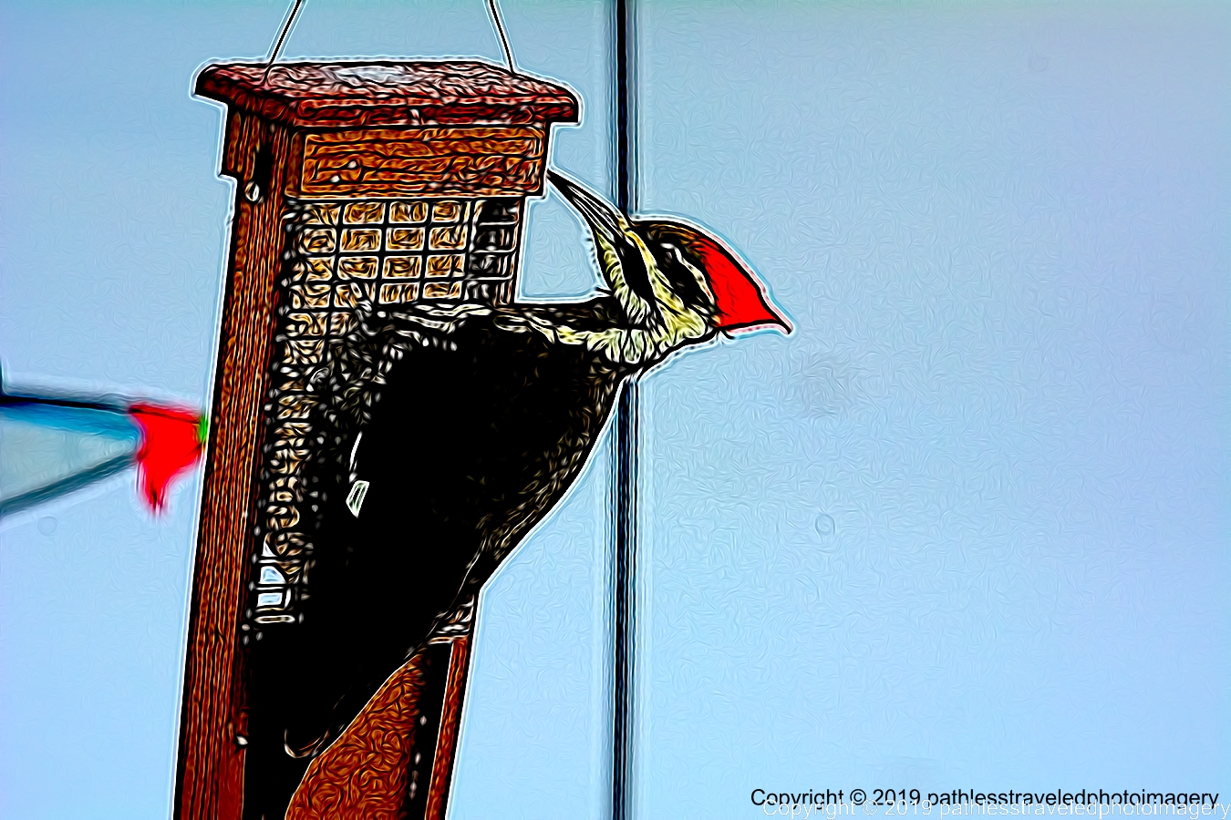 1902_0036TopazAirbrusha.jpg - Pileated Woodpecker