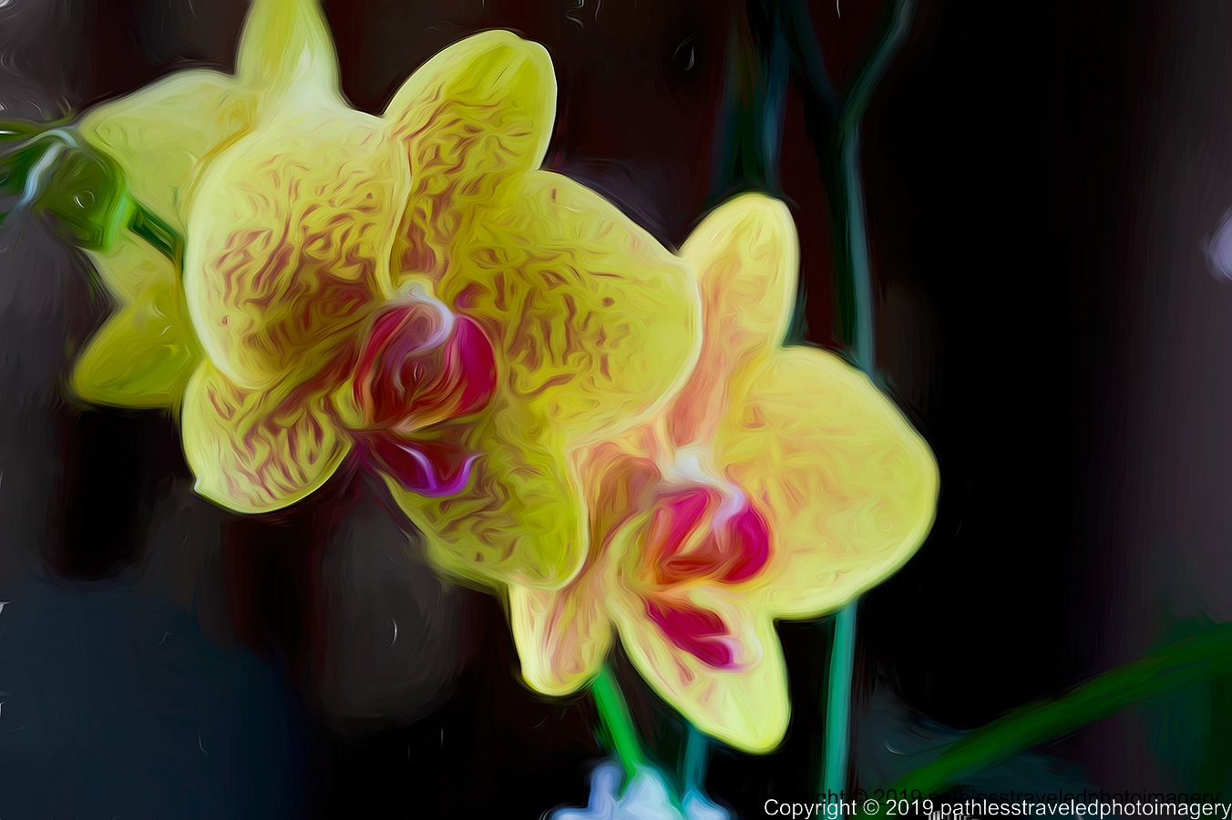 1902_0105TopazLiquidLinesa.jpg - Orchid