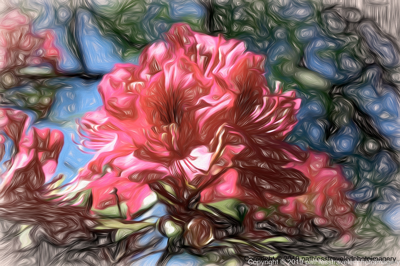 1906_0016TopazLiquidPencila.jpg - Rhododendron